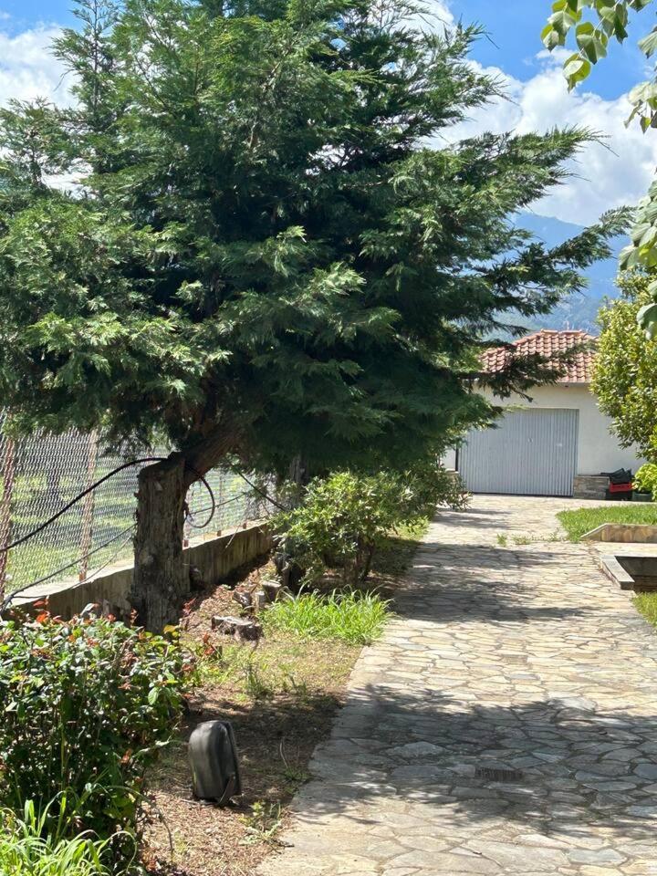 Zeusplace Karia Villa Natura Лептокария Екстериор снимка