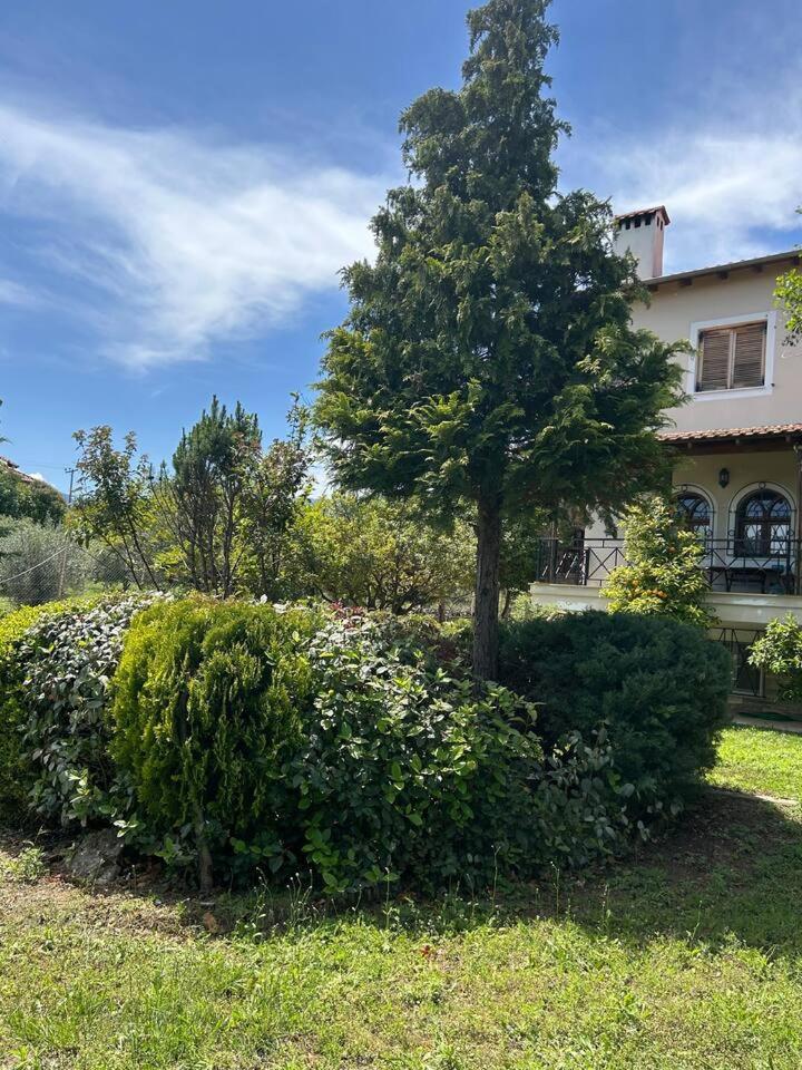 Zeusplace Karia Villa Natura Лептокария Екстериор снимка